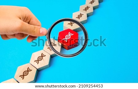 Gene study in a DNA chain. Mutations and genetic diseases. Gene therapy modification of cells to produce a therapeutic effect. Family tree and pedigree. Disease propensity. Paternity confirmation. Royalty-Free Stock Photo #2109254453
