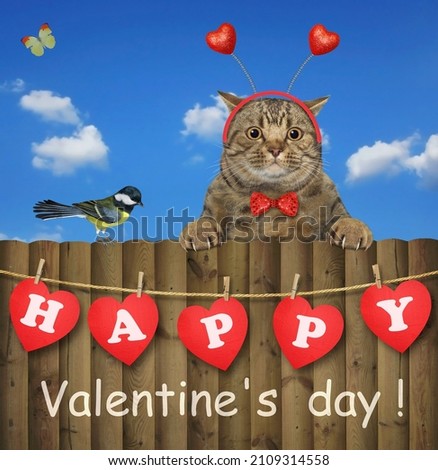 A beige cat in a holiday headband is on a wooden fence. Happy Valentine's day. White background. Isolated.
