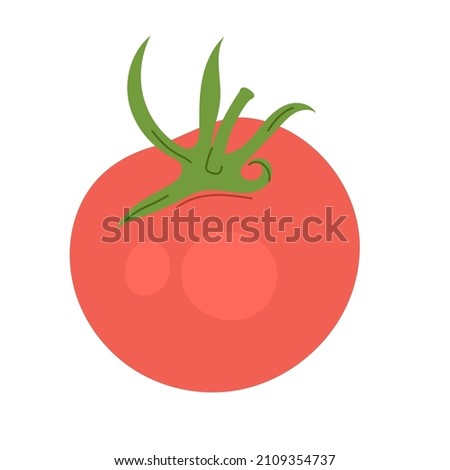 Tomato isolated on white background. Flat vector illustration