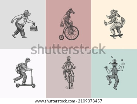 Cat juggler, turtle on a scooter. Bear, horse, hare, rhinoceros, Squid. Fashion Animal characters set. Hand drawn sketch. Vector engraved illustration for label, logo and T-shirts or tattoo.