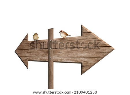 Wooden signpost with two sparrows on white background