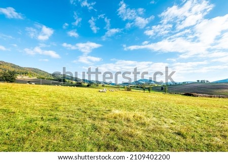 Rural countryside farm field hill sheep grazing on green grass fall autumn trees foliage mountains pastoral landscape in Blue Grass, Highland county Virginia Royalty-Free Stock Photo #2109402200