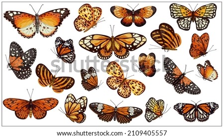 A large set of beautiful butterflies in orange sand tones. Cartoon vector graphics.