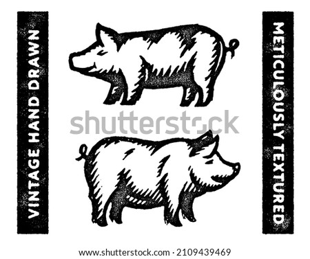 Pigs engraving retro illustrations. Hand drawn hogs. Pig logo. Swine badge. Meat deli shop Butcher's shop wall art decor. Vintage pigs print. Organic textured aged look and feel. 
