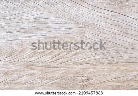 Nature wood skin with old patterns on wall brown background	