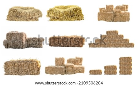 Golden yellow haystack isolated on a white background hay is a tightly joined bale of straw. Royalty-Free Stock Photo #2109506204