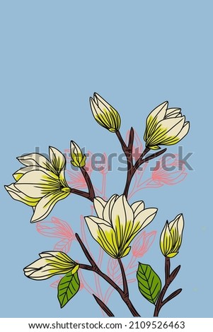 Illustration of White lily with sky-blue background and blury pinkish Shadow art.