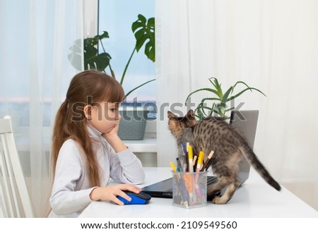 Girl is doing homework with laptop. A funny gray kitten is sitting on table where a child is looking at computer screen. Distance education. Modern school education for children. Teach at home.