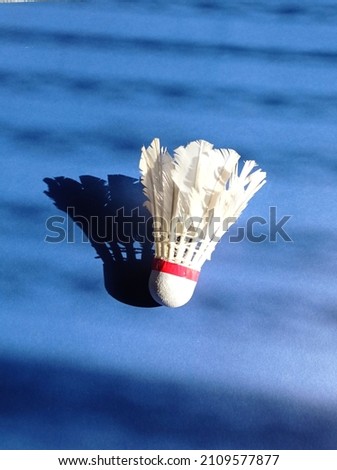 picture of a shuttle cock on a navy blue background