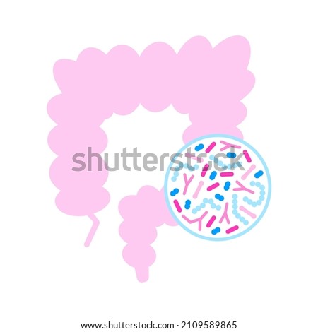 Gut microbiome concept. Human intestine microbiota with healthy probiotic bacteria. Flat abstract medicine illustration of microbiology checkup. Royalty-Free Stock Photo #2109589865