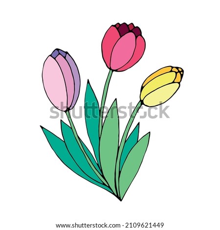 Bouquet of three red, pink, yellow flowers of tulips. Vector hand drawn design element. Symbol of spring, love, flowering. Clip art for greeting card, birthday, mother's or women's or Valentine's Day
