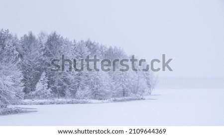 Winter holiday landscape forest Dramatic view of snow-capped spruces on frosty day. Photo wallpapers. Fabulous nature image. Happy New Year and merry christmas greeting card. Copy space