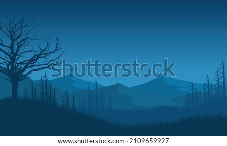 tunning mountain view with dry tree silhouettes all around