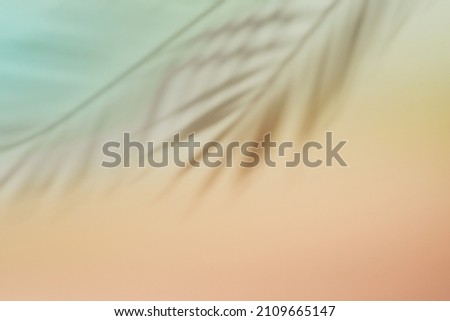 Natural palm leaves shadow on gradient paper background. Abstract pink and mint tropical backdrop. Soft light Royalty-Free Stock Photo #2109665147