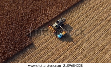 Harvester pours corn after harvesting on field into back of truck. Aerial Drone View Flight. Harvester Machines Working in Cornfield. Top view. Harvesting, Agrarian and Agricultural Works, Farming Royalty-Free Stock Photo #2109684338