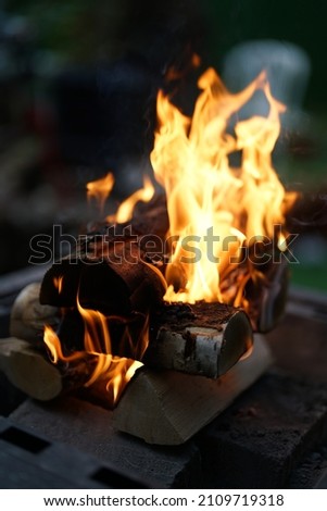 Fire wood burning  background pictures