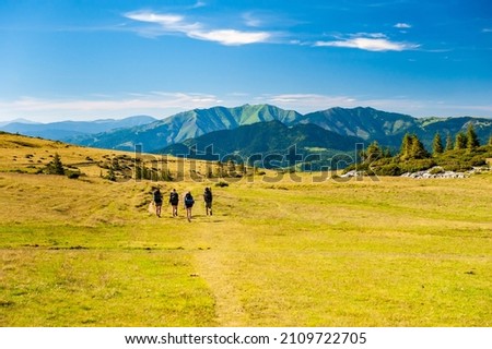 Group of trekkers hikers with backpacks descending with veiw of Maramures ridge from Rodna Mountains, Muntii Rodnei National Park, Romania, Romanian Carpathian Mountains, Europe. Royalty-Free Stock Photo #2109722705