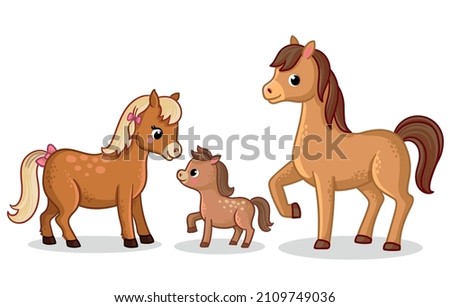 Family of horses stands on a white background. Vector illustration with horses and foal in cartoon style.