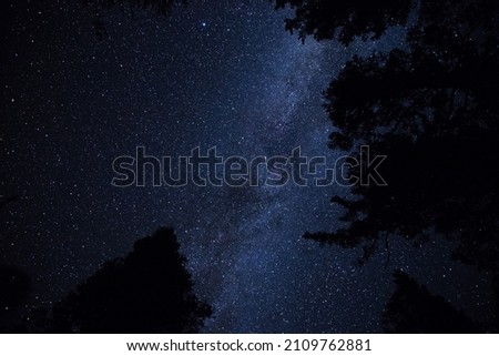 Looking up at the night sky in Yosemite. You can see the milky way and some shadows of pine trees creeping into the frame