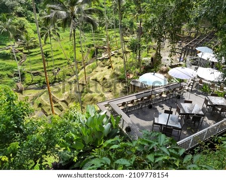 Beautiful scenery of highland contour with trees, hills, valleys, rice fields, umbrella at Ubud, Bali, Indonesia