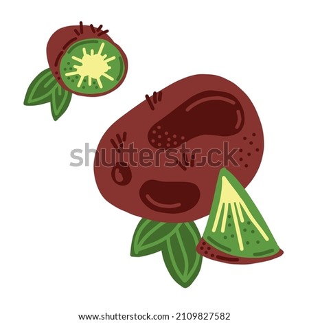 Kiwi. Whole, piece, leafs and icon. Good for posters, package, t-shirts, postcards, shopping bags. Vector hand draw cartoon illustration.