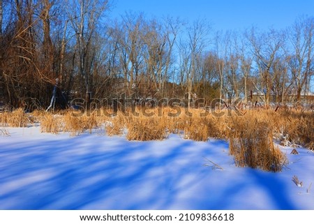 Winter landscape in Montreal Quebec, Canada