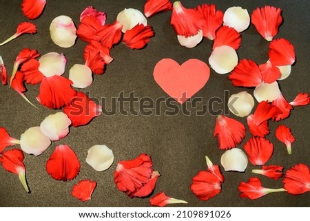 Valentine's Day card consisting of a red paper heart and rose petals on a black background.