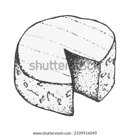 Vector clipart cheese. Hand-drawn stylized camembert cheese, brie