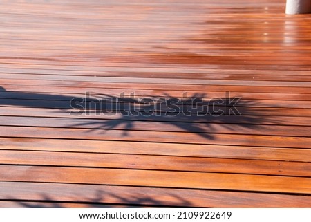 Shadow of palm tree leaves silhouette on the house`s terrace on exotic hardwood deck Royalty-Free Stock Photo #2109922649