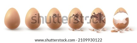 Realistic farm chicken egg broken, hatching chick stages. Cracked eggs with eggshell pieces. 3d fragile egg break in incubator vector set. Split shell with debris, cooking ingredient Royalty-Free Stock Photo #2109930122