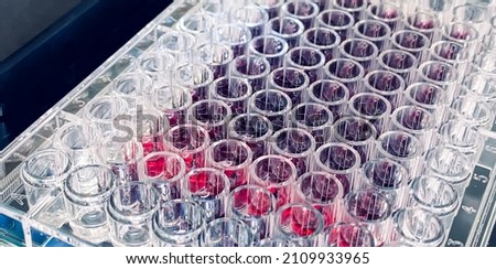 96-well plate with cancer cells cultured in vitro used in a pre-clinical drug discovery research Royalty-Free Stock Photo #2109933965