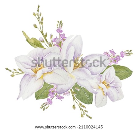Watercolor tulip bouquet, isolated tulips on white background, botanical clipart, flower composition. Perfect for creating wedding invitations, mother's day cards