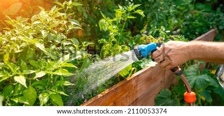 Unrecognisable man watering flower bed using watering can. Gardening hobby concept. Flower garden image with lens flare. Royalty-Free Stock Photo #2110053374