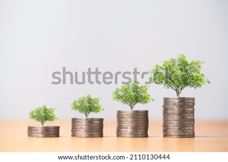 Growing trees on increasing coins stacking for growth money saving and business profit investment concept.