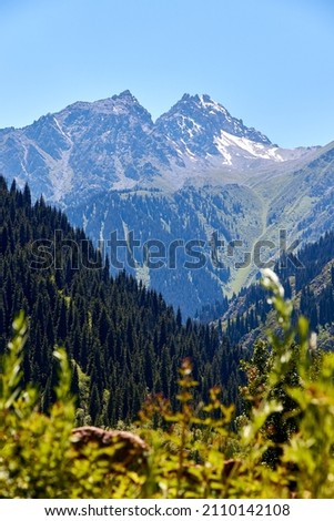 scenic view of the rocky mountain top and the slopes covered with forest and the blue sky. Vertical photo