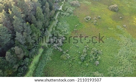 Aerial view of forest edge and grass field border during a summer day. Green trees and glade clearing top view. Stock photography from above