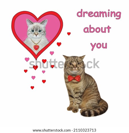 A beige cat is dreaming about its lover. White background. Isolated.