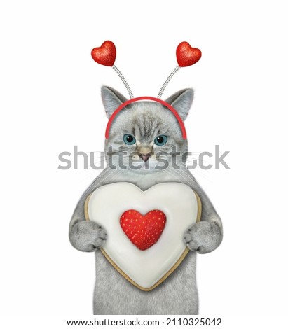 An ashen cat in a holiday headband holds a heart shaped biscuit. White background. Isolated.