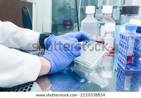 A laboratory technician labelling a cell culture plate just before staring an in vitro experiment aimed to assess anticancer drug activity using human-derived cancer cells of different origin. Royalty-Free Stock Photo #2110338854