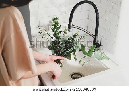 Woman care of cut eucalyptus bouquet in the kitchen at home. Close-up view Royalty-Free Stock Photo #2110340339
