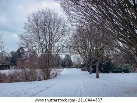 Snowy alley on the cemetery with bald trees and bushes and cloudy sky in the background