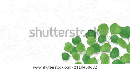 Background with leaves, Vector illustration, Banner size