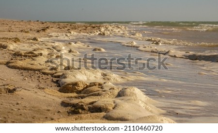 Sea foam on the Moroccan coast