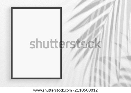 Mockup frame with light and shadow leaves,palm leaf on grunge white wall concrete background.Silhouette abstract tropical leaf natural pattern for wallpaper, spring ,summer backdrop.