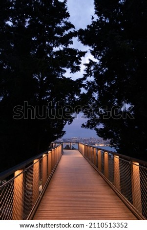 An illuminated empty wooden bridge in dark forest. 