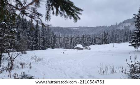 winter Christmas view in a mountain forest with a small abandoned wood house in the Tatra National Park