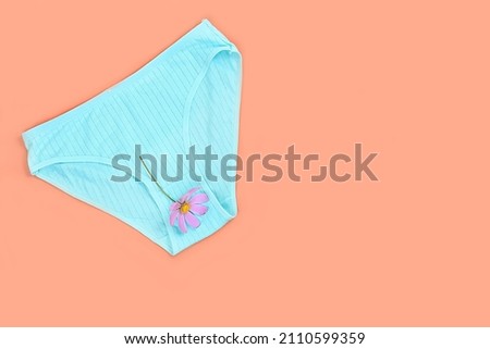 Women's cotton underpants with chamomile flowers on a pastel background with space for text, underwear advertisement for girls, the concept of feminine hygiene and cleanliness of intimate organs