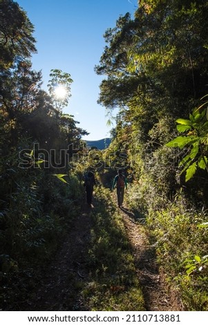 a couple of young hikers walking along a path between the mountains on a sunny day in Costa Rica