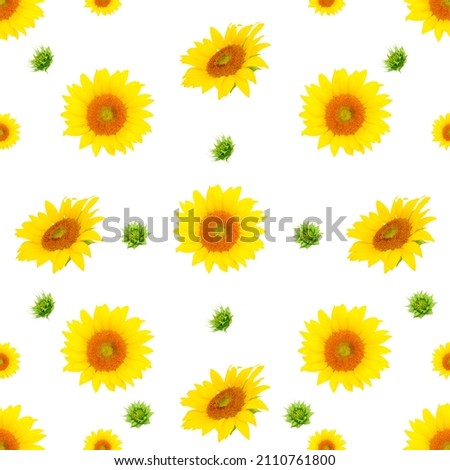 sunflowers seamless pattern, sunflower heads on white background