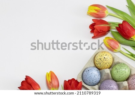 Tulips and Easter Eggs on the white background 